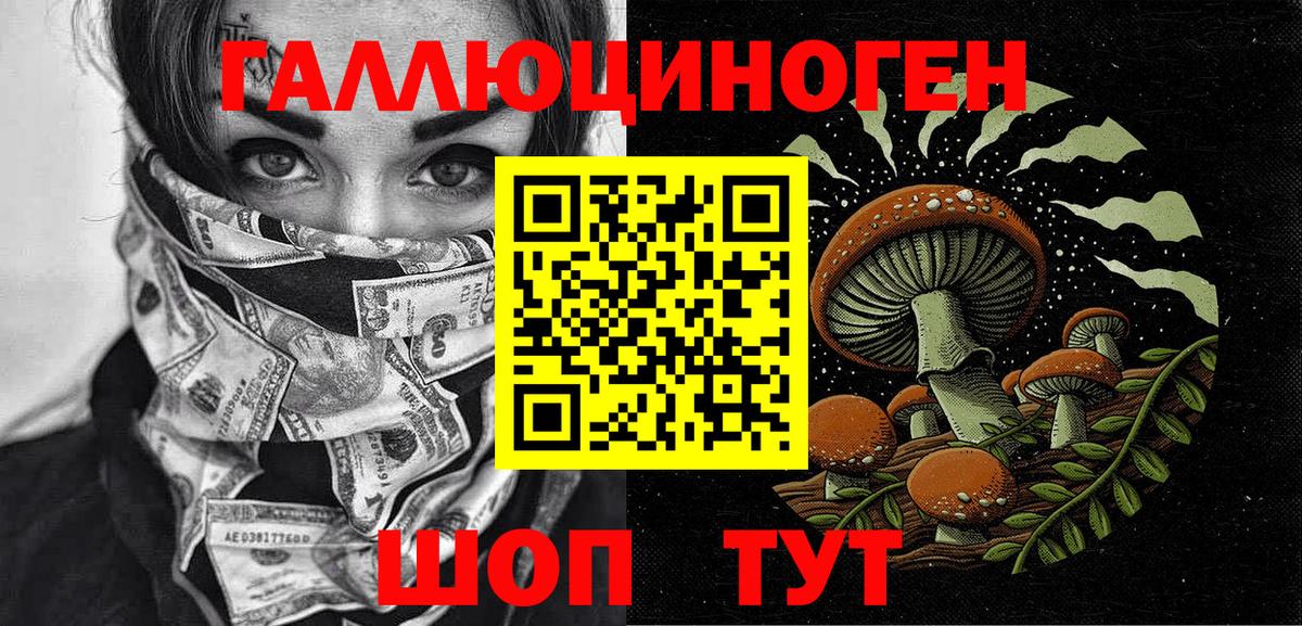 Фурманов  Псилоцибиновые грибы Psilocybine cubensis  Вход с VPN 